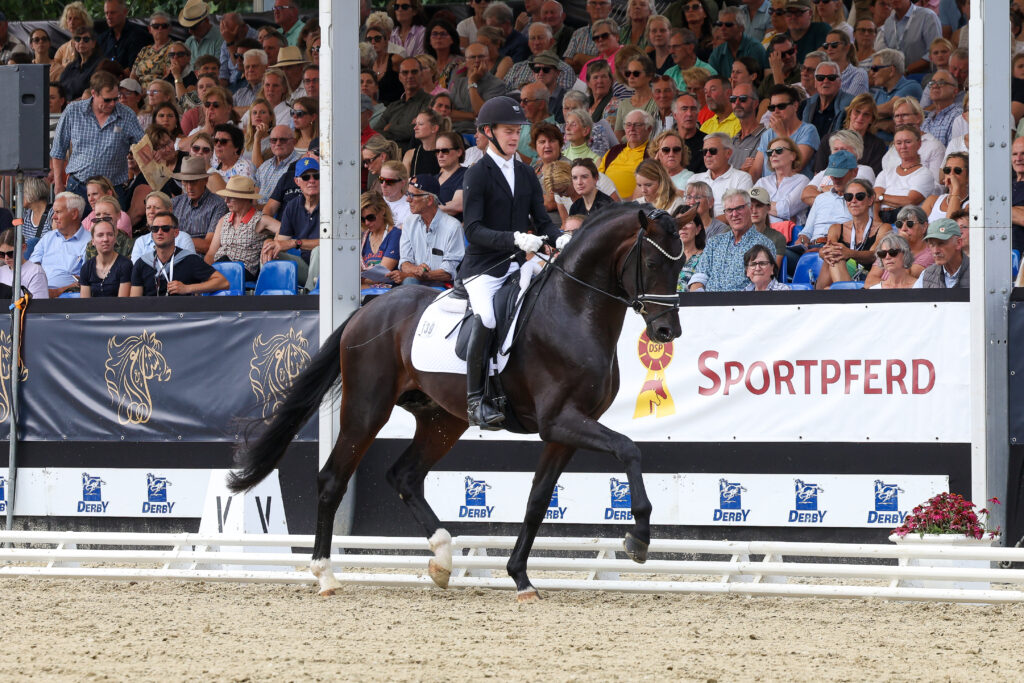 Jacob Schenk und Falcon sicherten sich den Bundeschampionatstitel der dreijährigen Hengste. (Foto Thamm) 