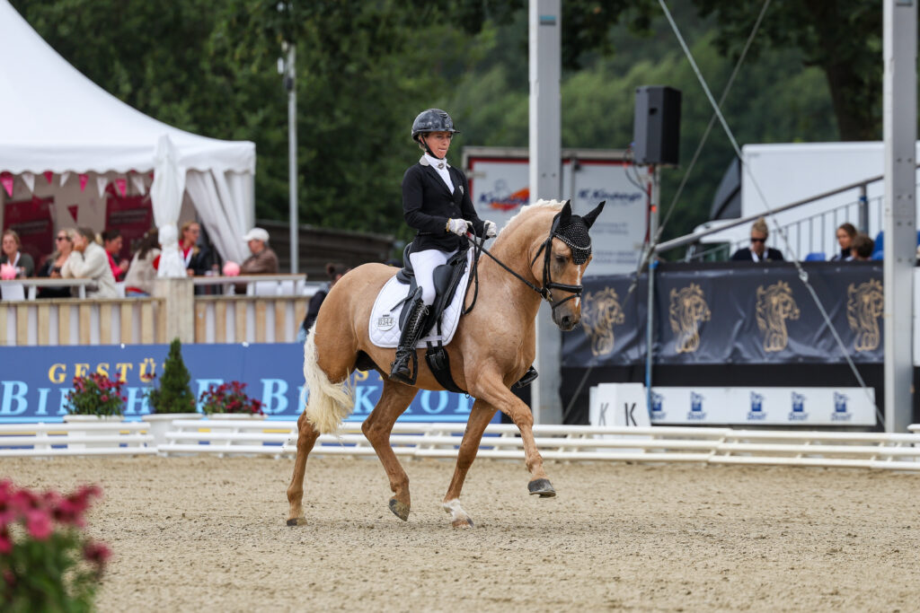 Im Rheinland gezogen, in Warendorf mit Bronze dekoriert: Golden Hunter LR unter Jacqueline Baartz. (Foto Thamm)