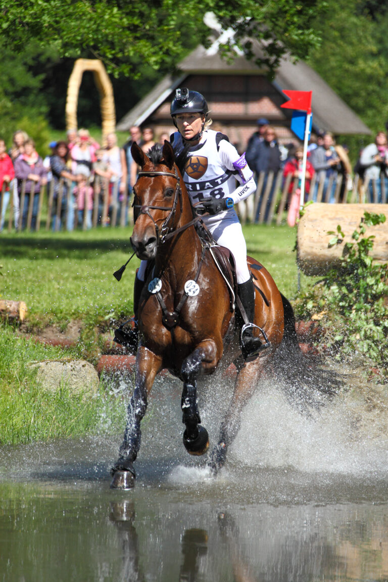 Nicht nur in der Vielseitigkeit sorgen gutes Training und ebenso gute Ausrüstungsgegenstände für Sicherheit. Foto: Equipics/Zachrau