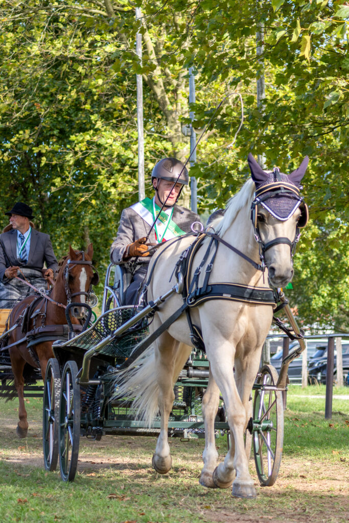 Herbert Troost siegte bei den Pony-Einspännern. Foto: Marius Gansauer Fotografie