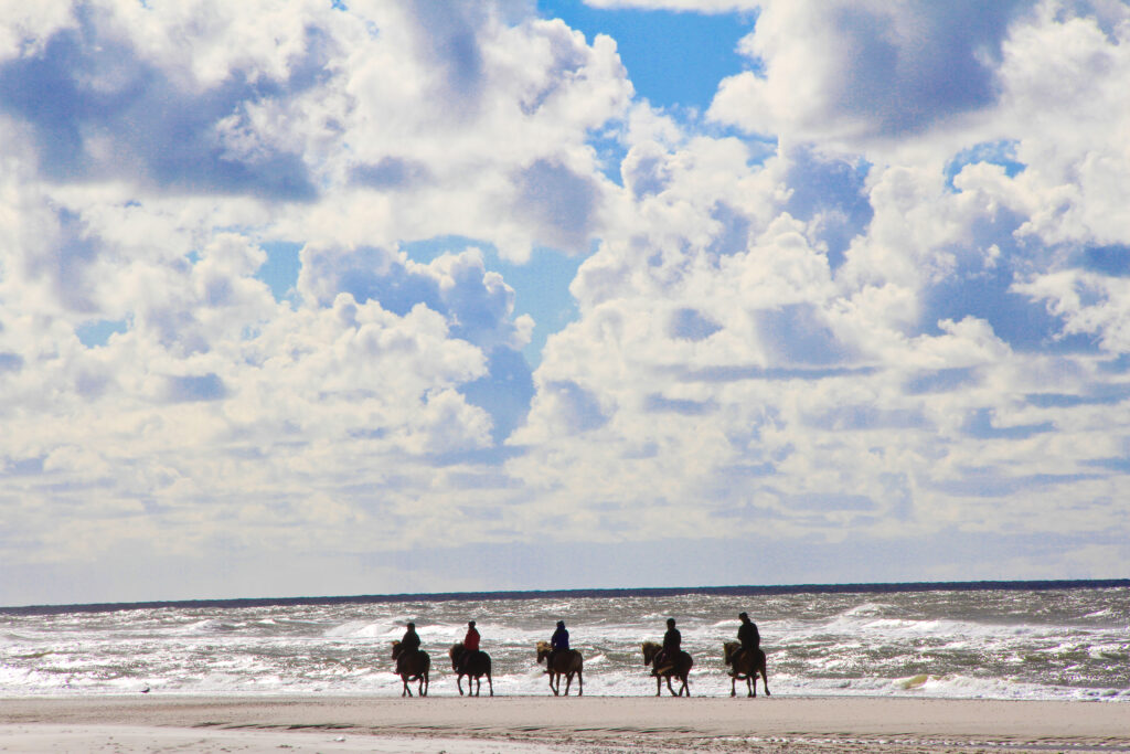 Der Ritt am Meer: ein Traum vieler Reiter. Foto: Equipics/Zachrau