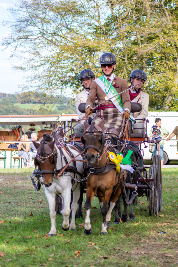 Markus Wertenbroich verteidigte seinen Titel bei den Pony-Vierspännern. Foto: Marius Gansauer Fotografie