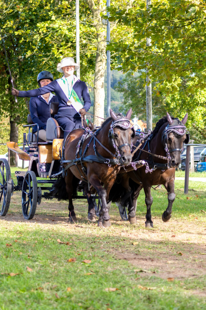 Barbara Bierth sicherte sich Gold bei den Pony-Zweispännern. Foto: Marius Gansauer Fotografie