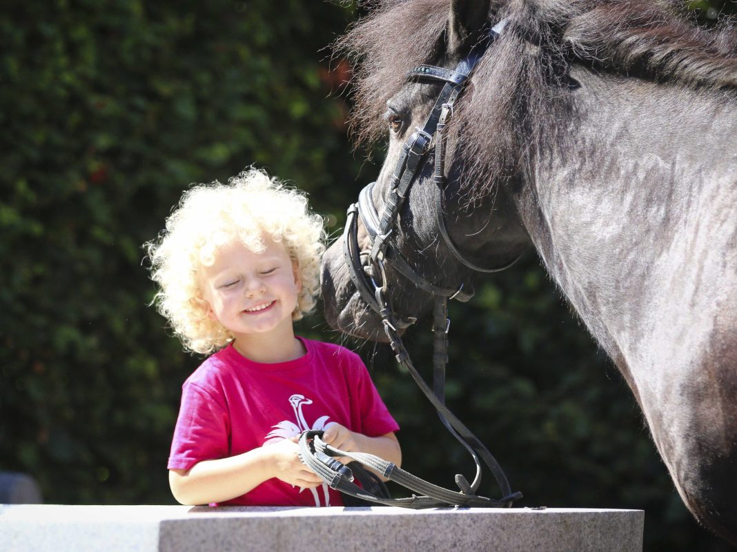 Einmal Pferd berühren, riechen, spüren, ganz aufnehmen – und schwupps ist der Virus übergesprungen! Foto: Rebecca Thamm
