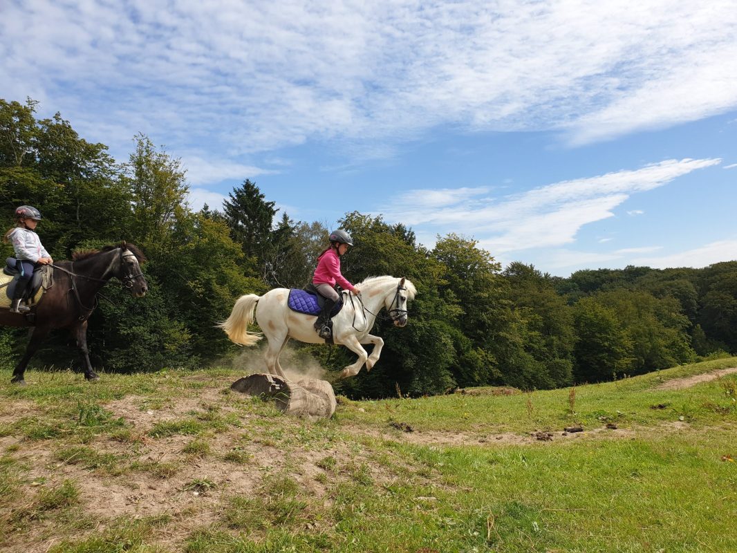 20200724_111925_016_saved