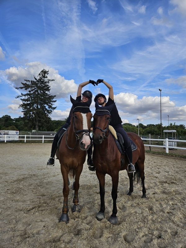 Reitschüler und Schulpferde der "Reitschulmanufaktur" Düren sind bereit für die WM in Aachen! Foto: Privat