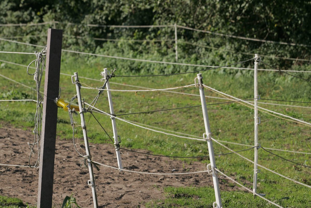 sportfotos-lafrentz.de/Stefan Lafrentz