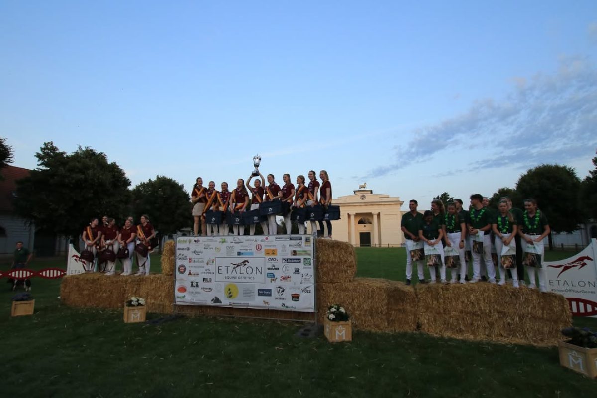 Das Landgestüt Redefin war am Wochenende Gastgeber des Bundesjungzüchterwettbewerbs 2025. Foto: Facebook.com/Deutsche Jungzüchter