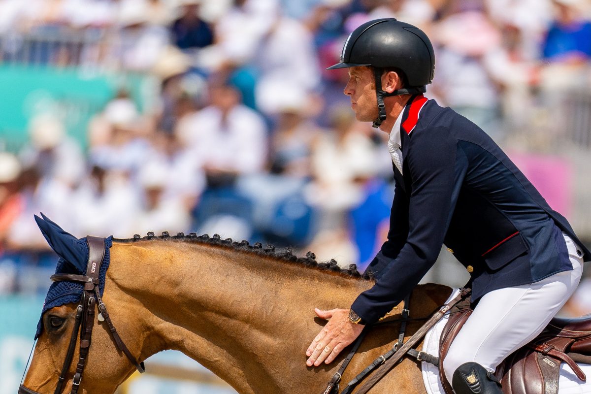 53895624234_5b735e8f7f_k