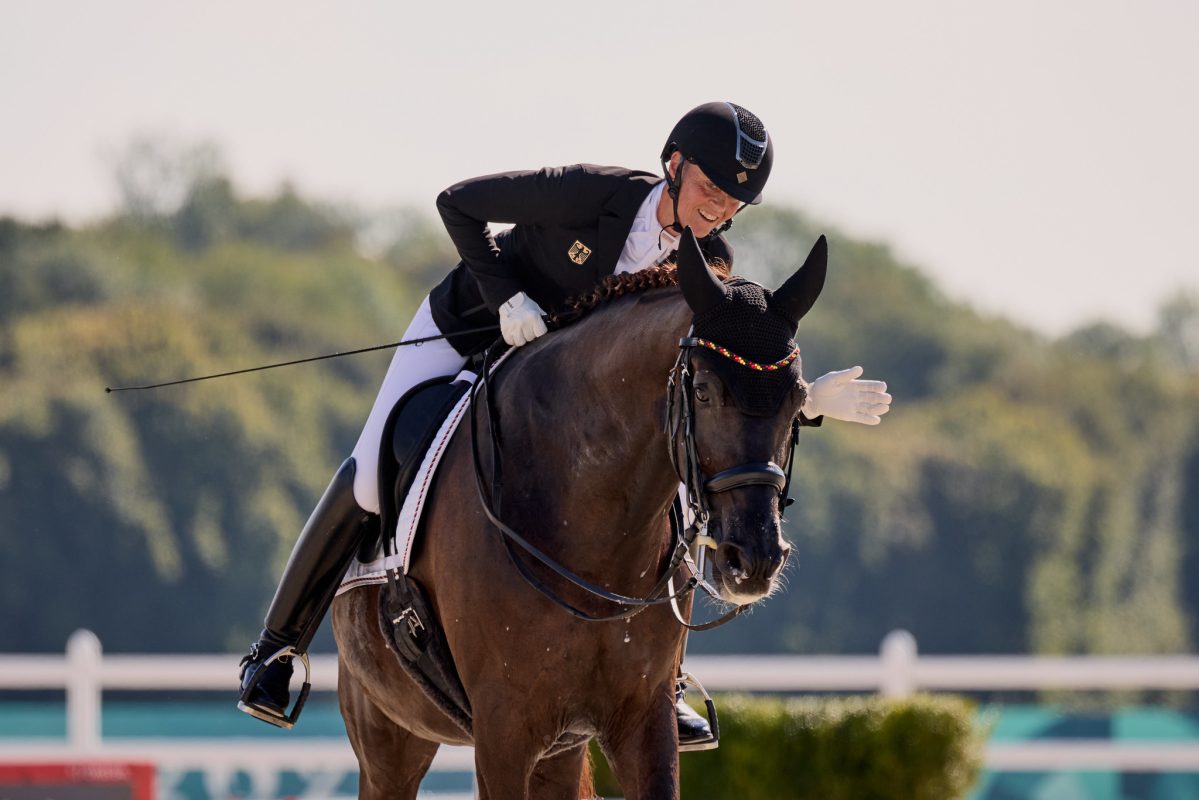 53976165959_bc2586a88d_k