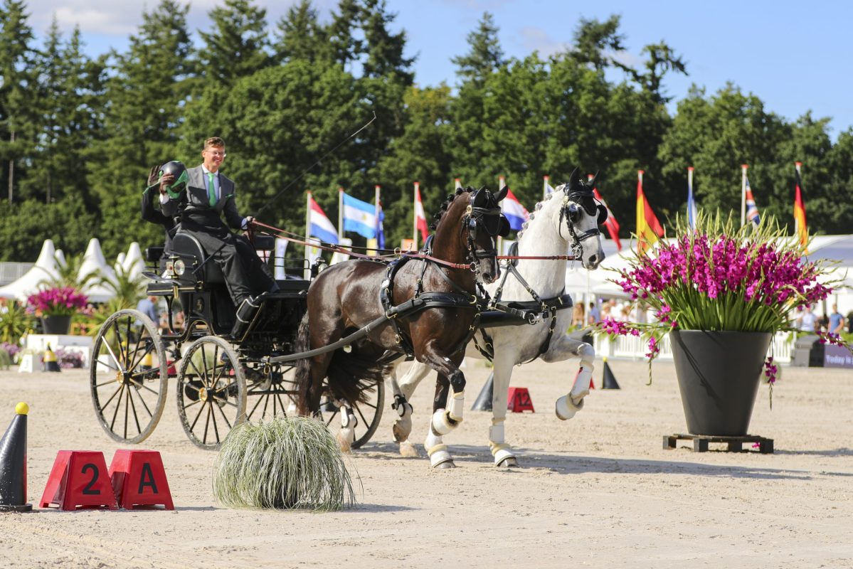 So sehen Weltmeister aus! Martin Hölle und sein erfolgreiches Duo an den Leinen. Foto: FEI