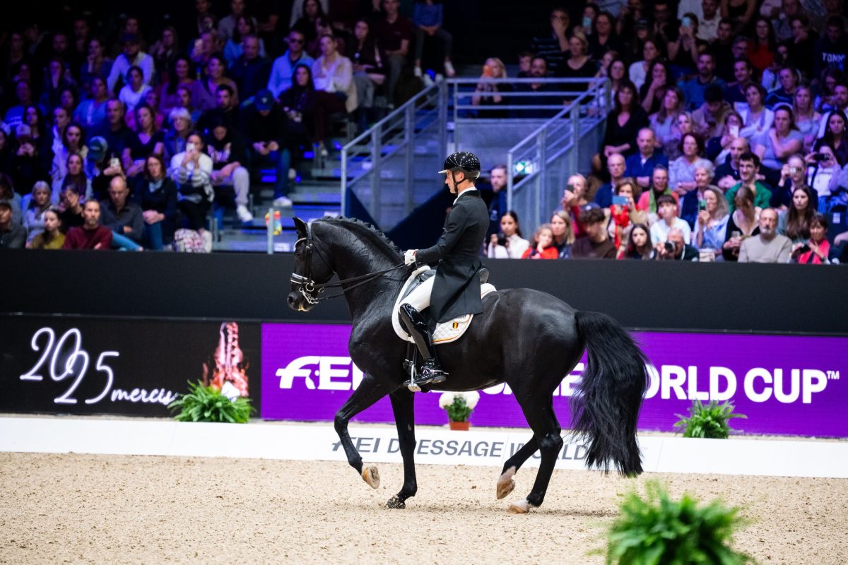 Justin Verboomen und Zonik Plus auf dem Weg zum Sieg bei der Weltcup-Etappe in Lyon 2025. Foto: FEI/Lukasz Kowalski