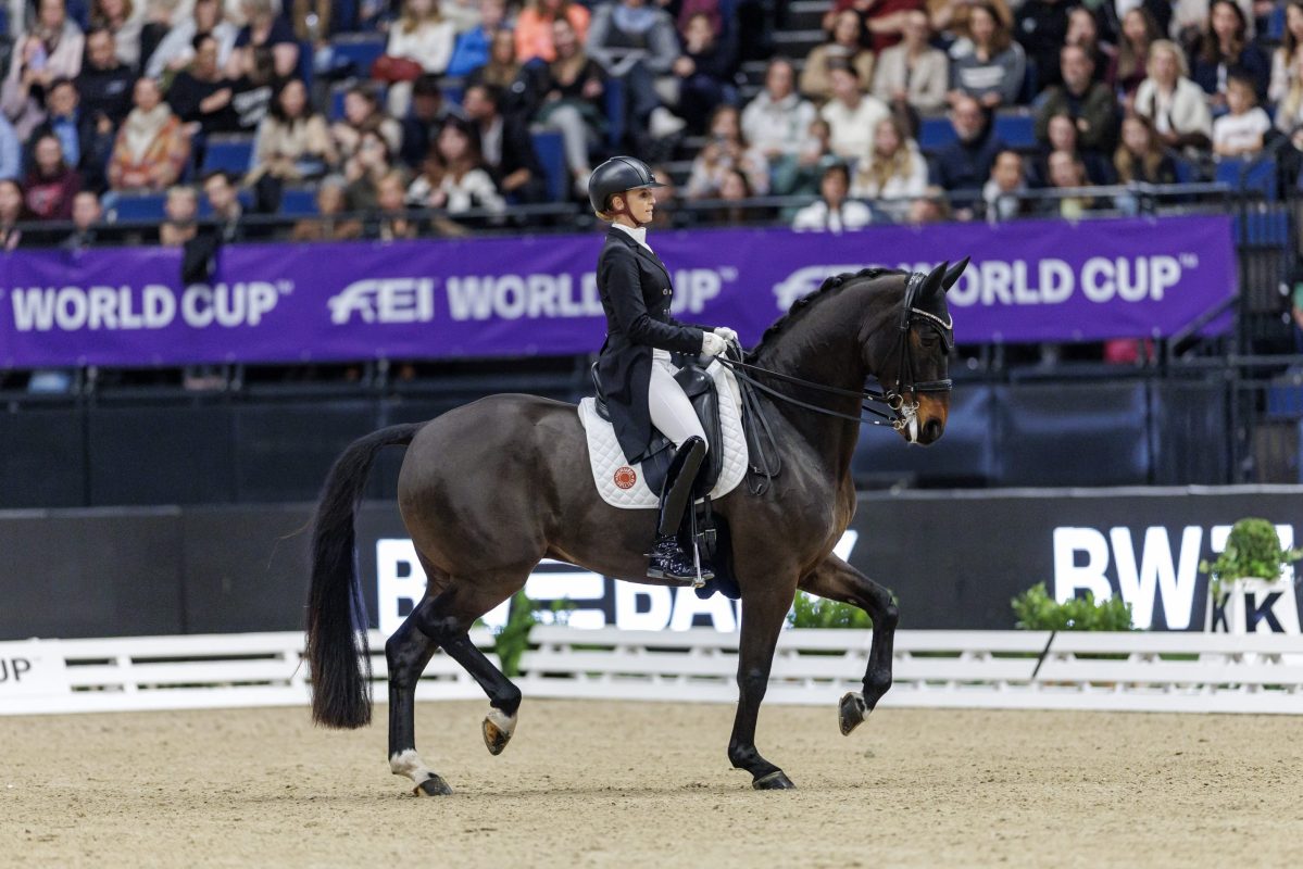 Eine glänzende Vorstellung von Jessica von Bredow-Werndl und Diallo in der Weltcup-Kür von Stuttgart. FEI/www.sportfotos-lafrentz.de/Stefan Lafrentz