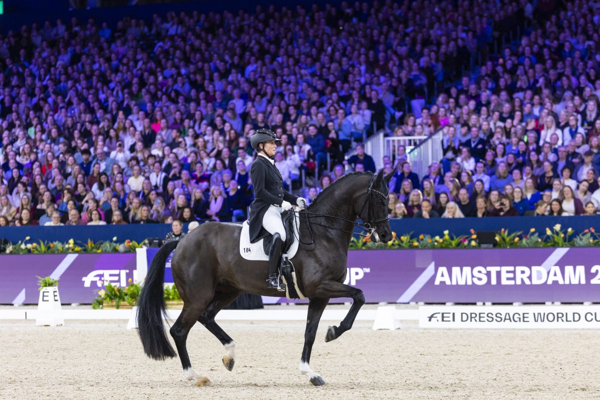 Platz zwei in Grand Prix und Kür für Isabell Werth und Wendy in Amsterdam. Foto: FEI/Leanjo de Koster