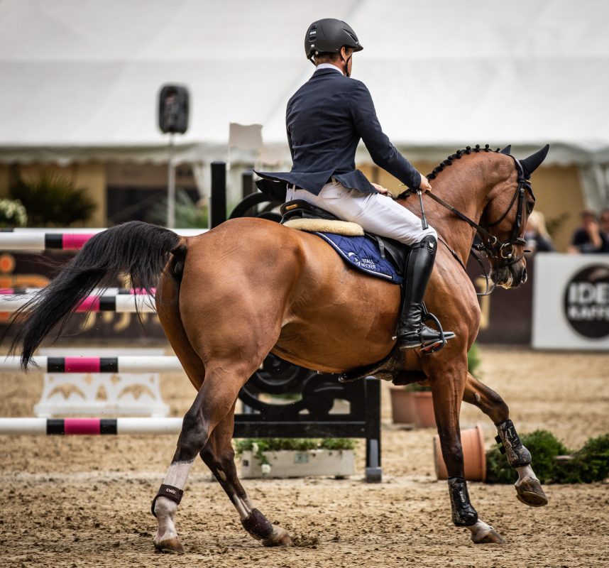 Symbolbild_Springreiter