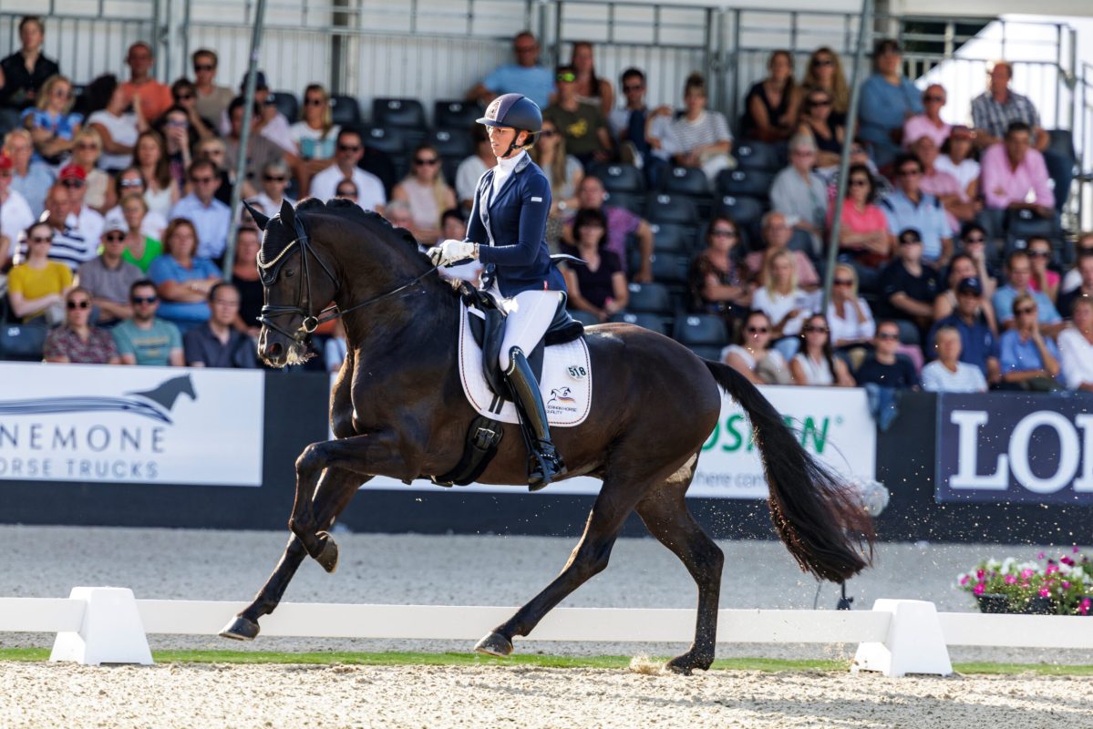 Glamdale WP mit Stefanie Ahlert bei den Weltmeisterschaften der jungen Dressurpferde 2024. Foto: sportfotos-lafrentz.de