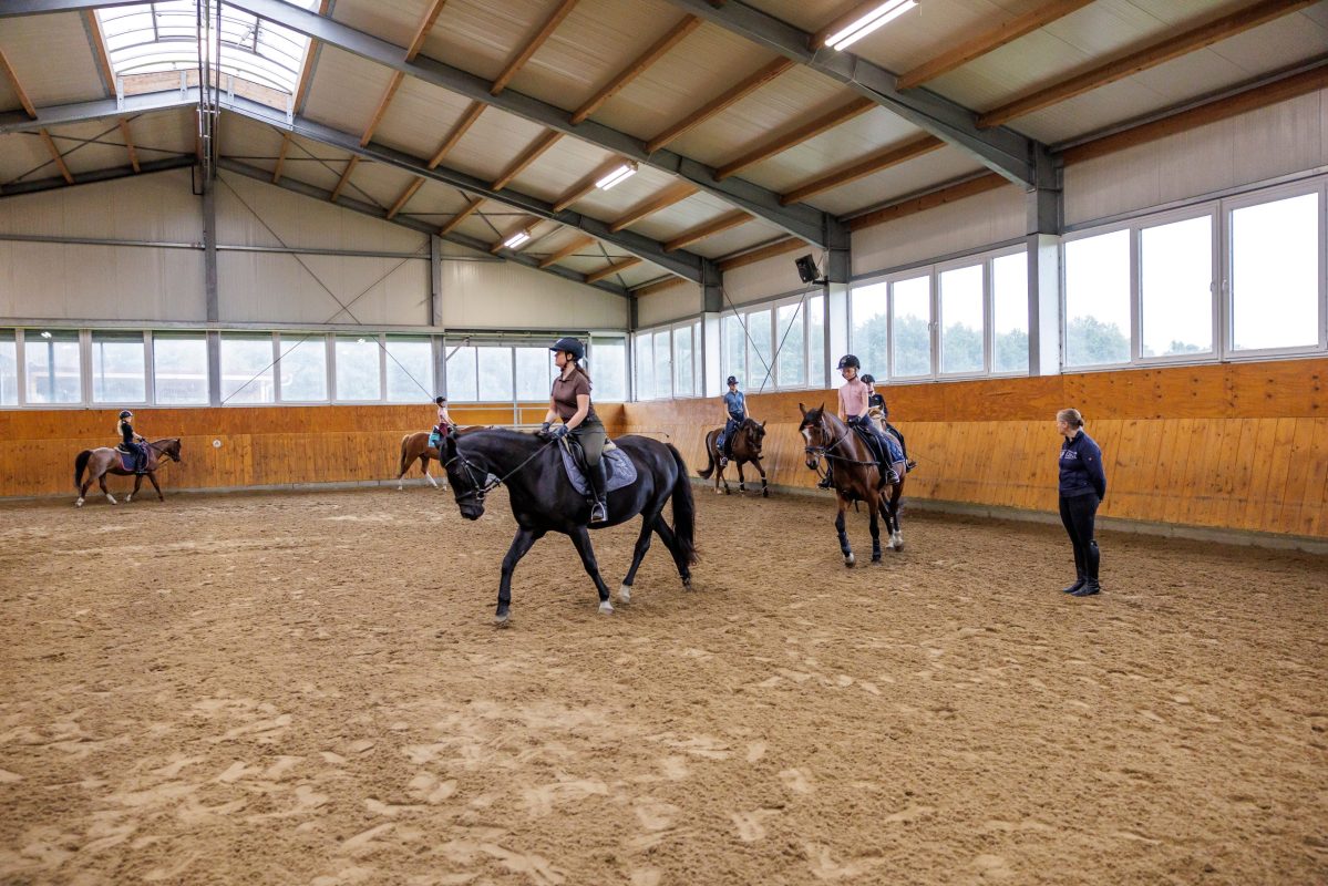 Mit der APO-Reform wird es ab 2026 für angehende Trainer B und C drei verschiedene Möglichkeiten geben, seinen Abschluss zu machen. Foto: sportfotos-lafrentz.de
