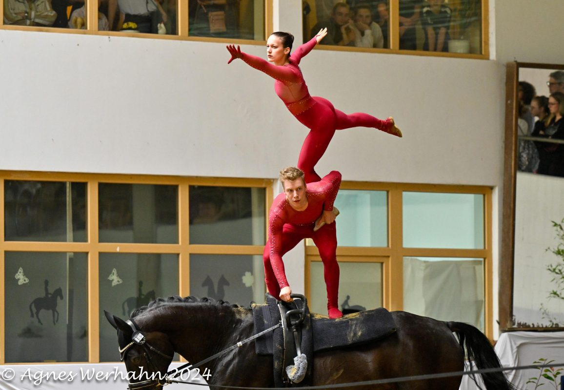 Agnes Werhahn RM Gruppenvoltigieren Bronze