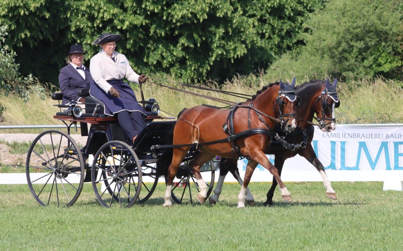 Antonia-Brechtken-SChleicher
