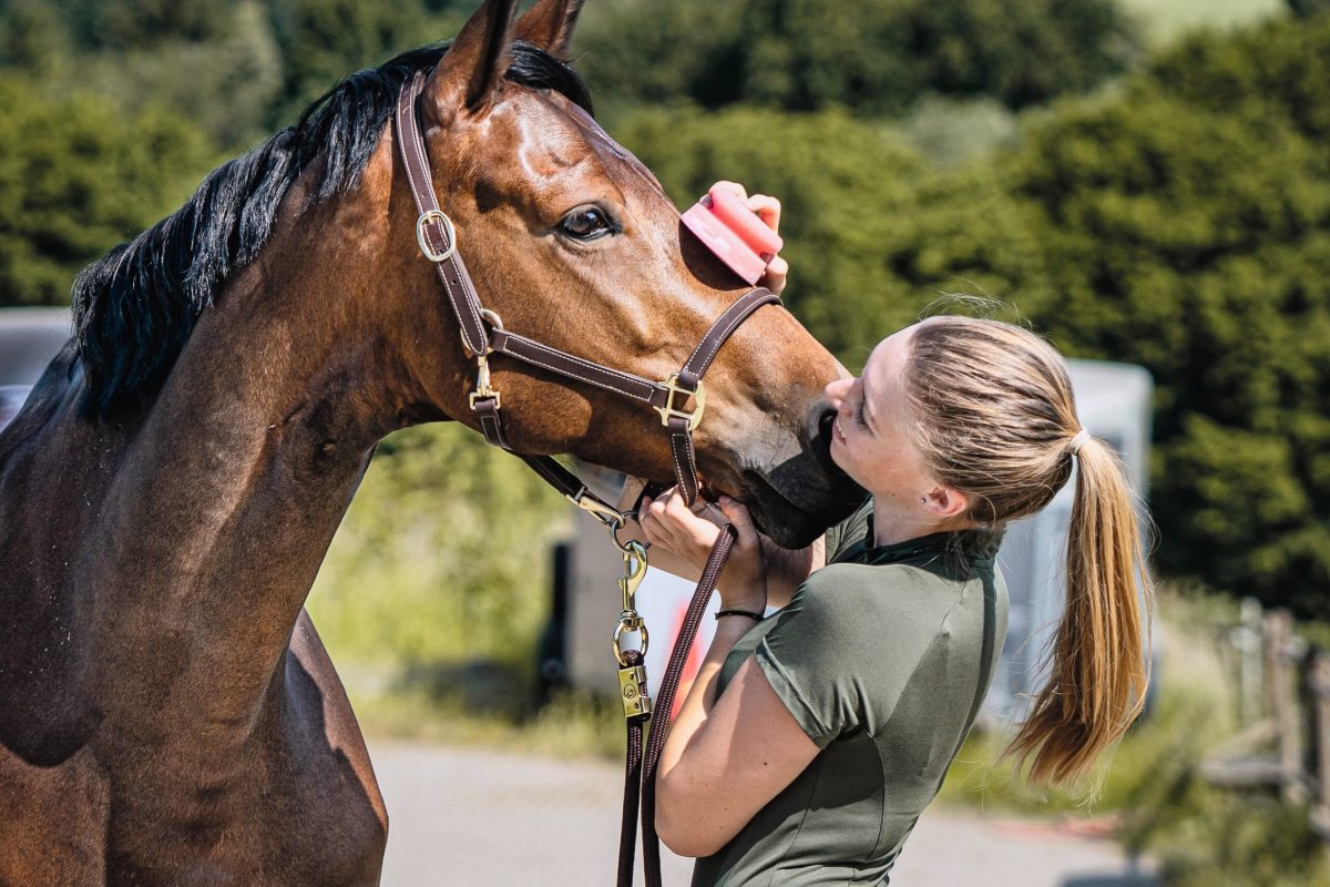 Mit seinem Pferd den Sommer genießen – mit dem richtigen Fliegenschutz kein Problem. Foto: MM-Cosmetic