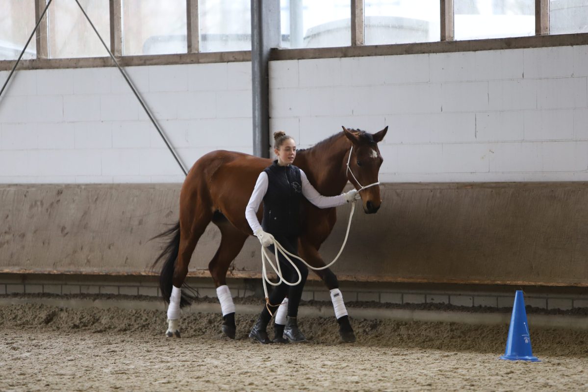 Ausbildung_am_Boden_02 PEMAG
