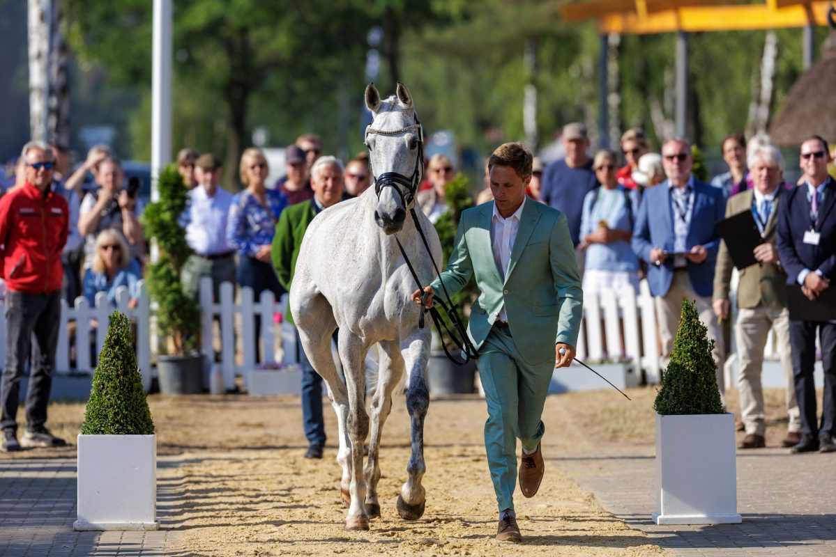 In Pau ist das Wetter leider deutlich schlechter als in Luhmühlen, als das Foto von Arne Bergendahl und Luthien entstanden ist. Daumen drücken, dass es sich beruhigt und ab morgen der Sport beginnen kann! Foto: Sportfotos-lafrentz.de