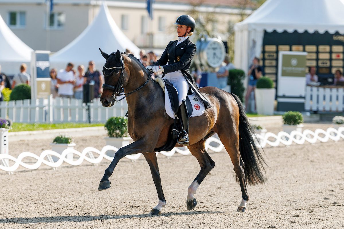 Jessica von Bredow Werndl und Got it BB in Balve 2025. (Foto Lafrentz)