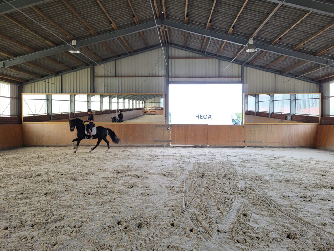 Immer mehr Ställe entscheiden sich für vollverspiegelte Reithallen.