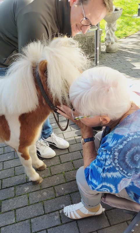 Bernd_Voss_Altenheim_Kuscheln_mit_Pony