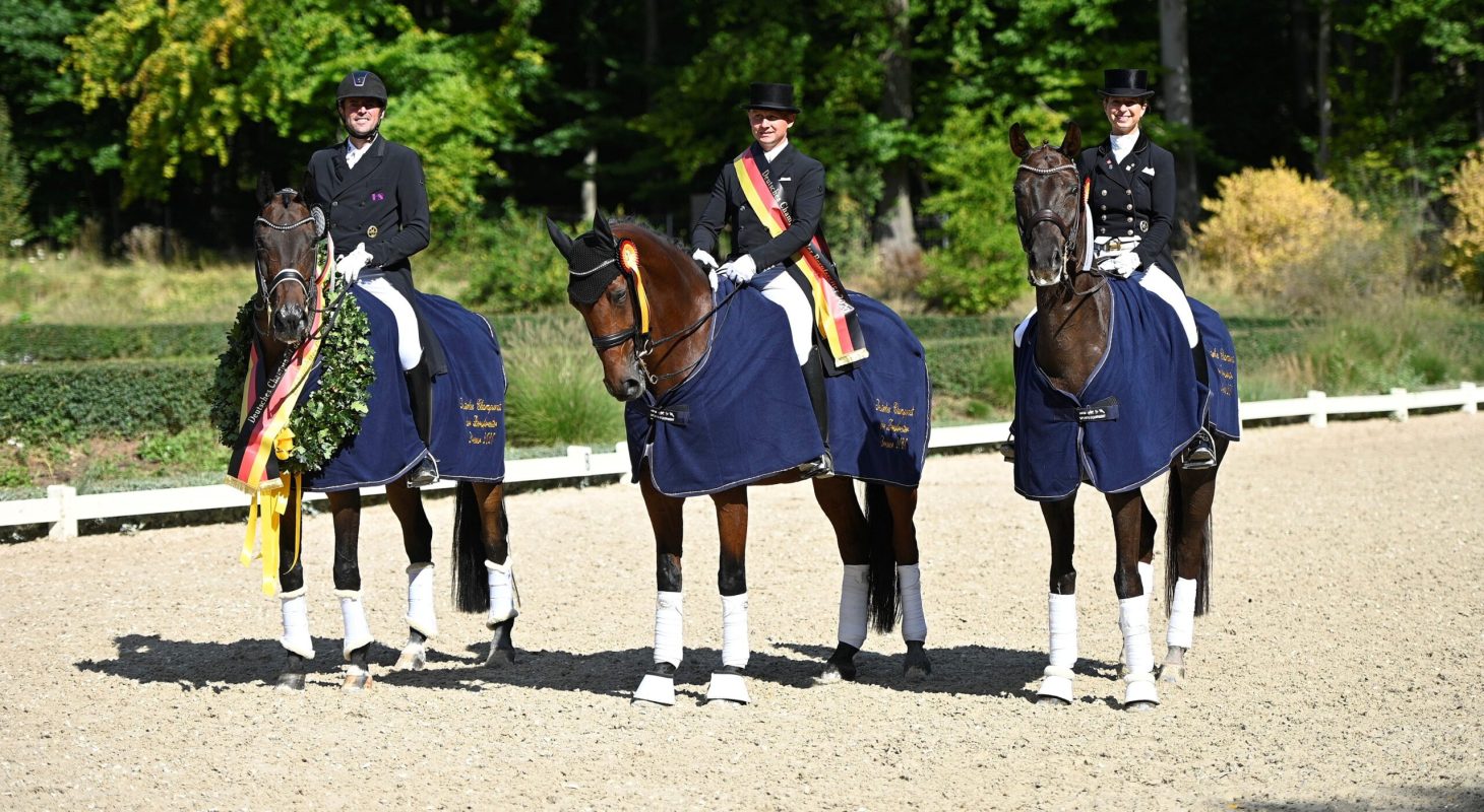 Pfeiffer, Martin - Riccio - Deutsches Berufsreiter-Championat - 2020 - DA Hofgut Kranichstein - 19. und 20.09.2020 (c) Foto: Jan Reumann.