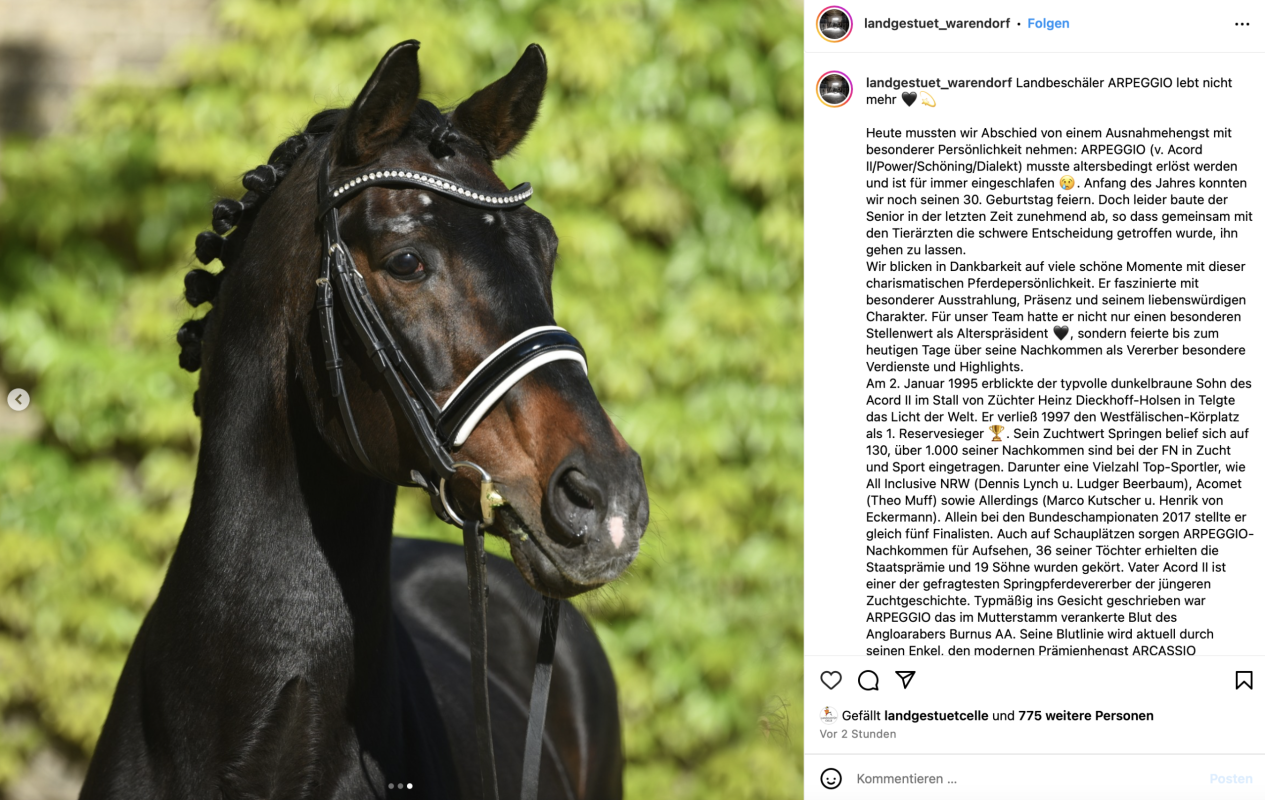 Abschied von einem Großen: Landbeschäler Arpeggio musste heute eingeschläfert werden. Foto: www.instagram.com/landgestuet_warendorf