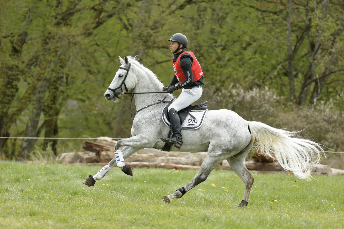 Dreamteam: Arne Bergendahl und Luthien. Foto: Toffi-images.de/Ludwiga von Korff