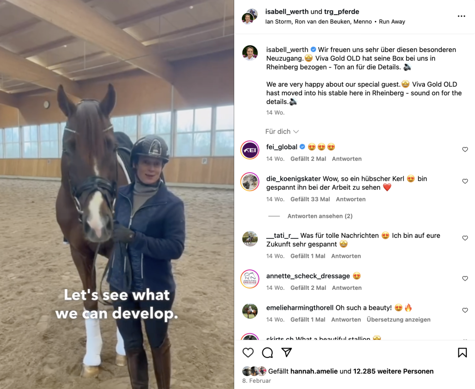 Isabell Werth über ihre Neuzugang Viva Gold: "Let's see what we can develop" – das sehen wir hoffentlich in wenigen Tagen beim Derbyturnier in Hamburg. Foto: Instagram.com/isabell_werth
