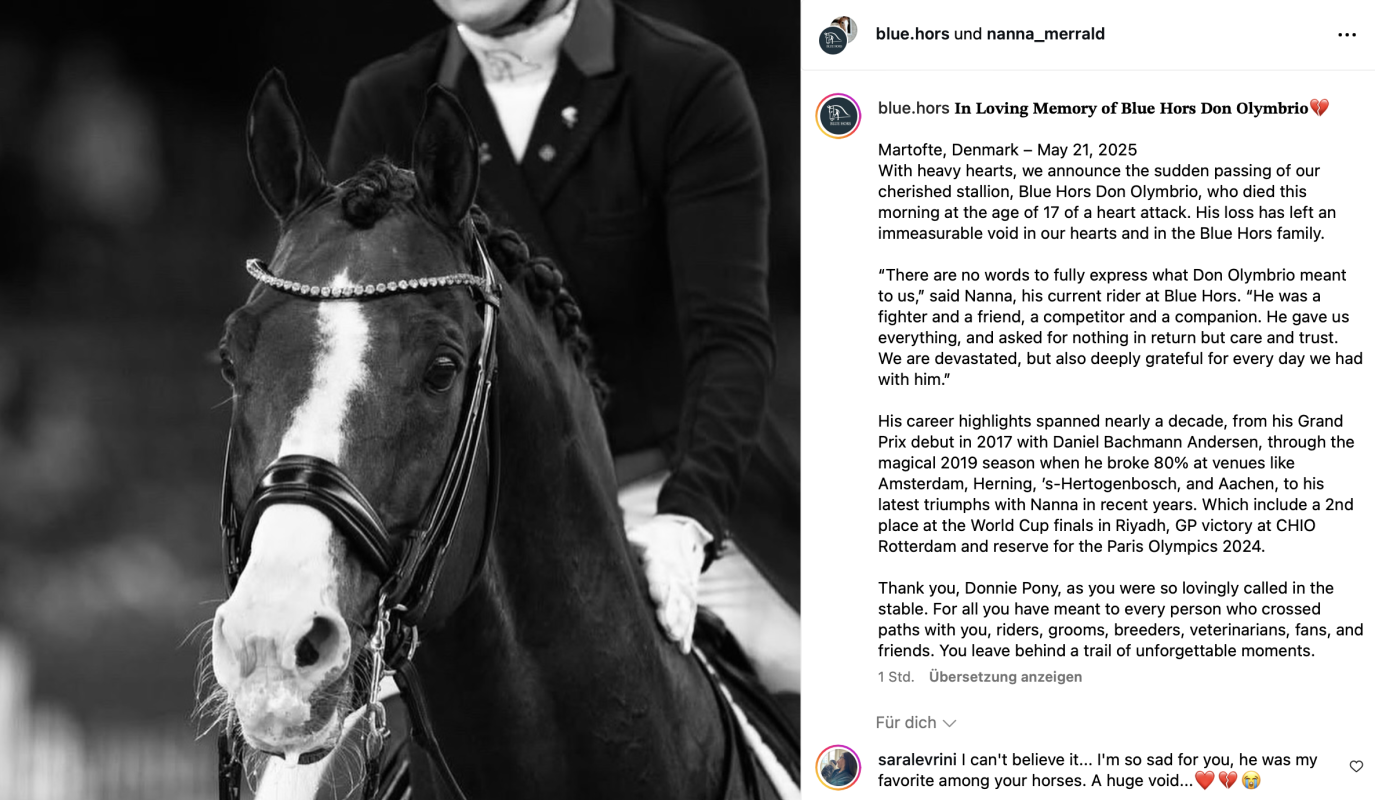 Foto: instagram.com/blue.hors