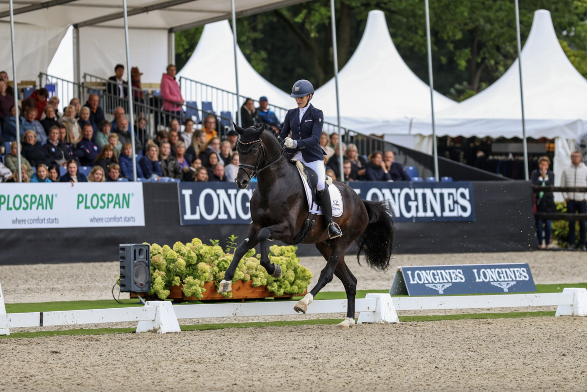 Beatrice Hoffrogge und Zuperman bei der WM junger Dressurpferde 2023, wo sie Bronze bei den Sechsjährigen gewannen. Foto: Thamm