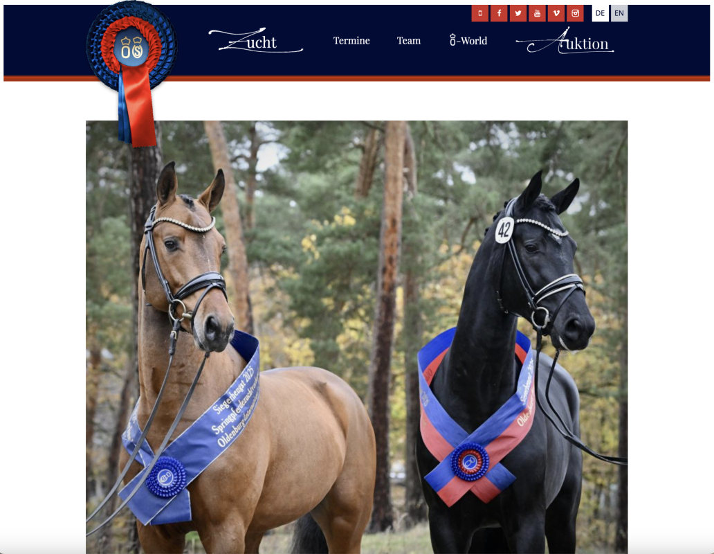 Die Oldenburger Siegerhengste 2025 v. Kasanova de la Pomme und Bonds. Foto: Screenshot oldenburger-pferde.com