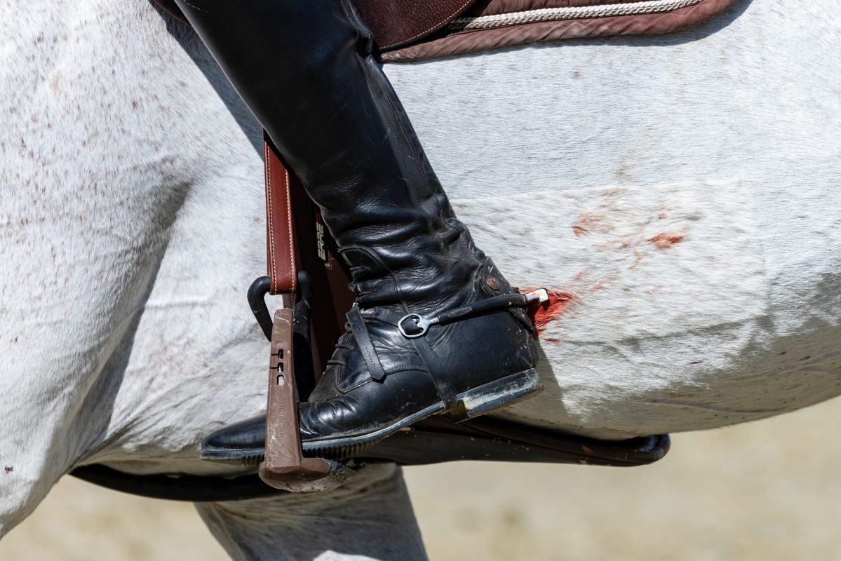 Symbolfoto Blut am Pferd. Foto: sportfotos-lafrentz.de
