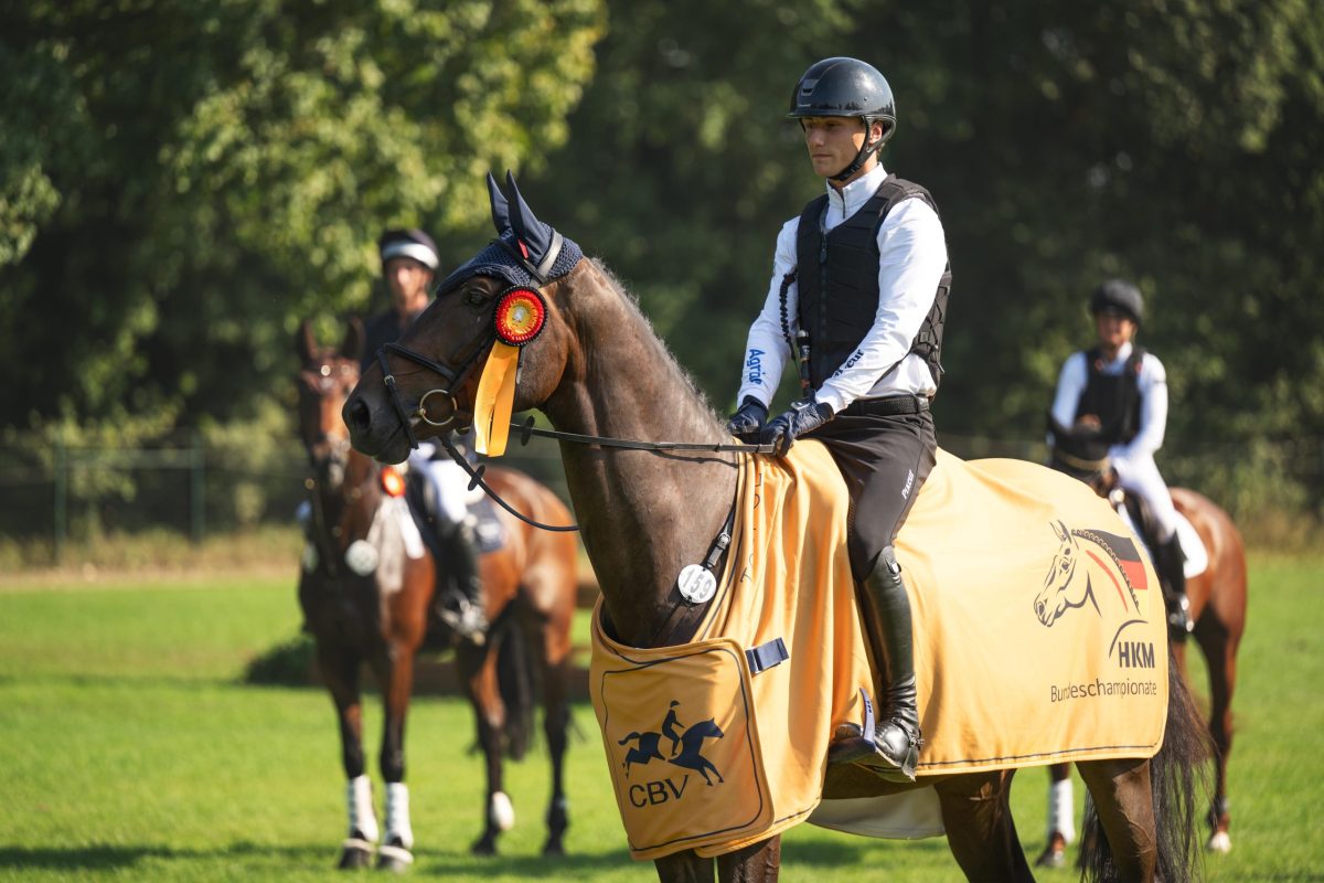 Boeckmann_Aufmacher_Minten Kopie
