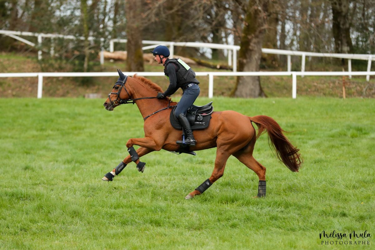 Brandon Schäfer-Gehrau mit Toppferd Very Special