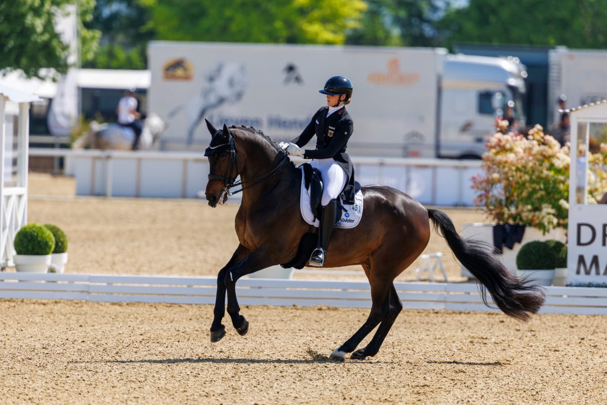 Luca Sophia Collin war in den vergangenen Jahren eine regelmäßige Teilnehmerin am Piaff-Förderpreis, 2025 mit Ferrero D. Foto: Archiv sportfotos-lafrentz.de