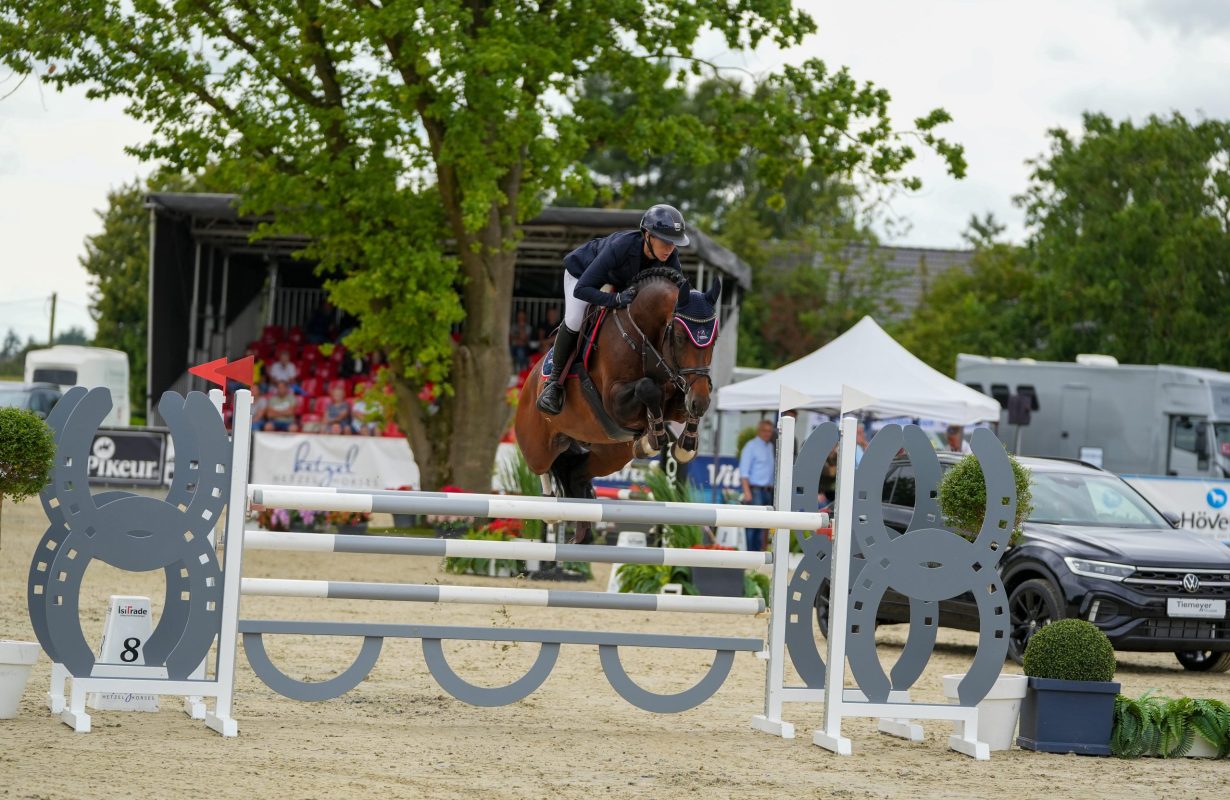 Alles schön und gut bei Arcassio v. Alaba, Sieger der Tiemeyer x Hetzel Young Horse Masters 2025 in Goch. Foto: Lisa van Bebber