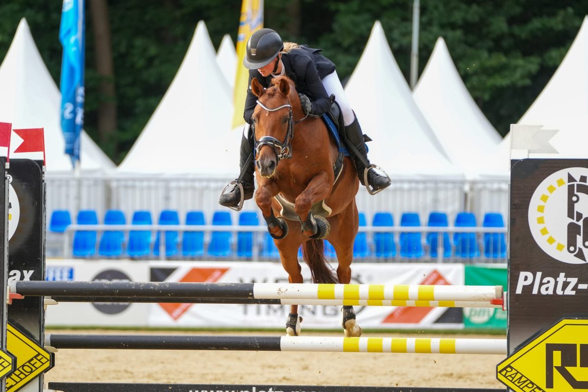 DSC06916-Winkel-Chucky-van Bebber