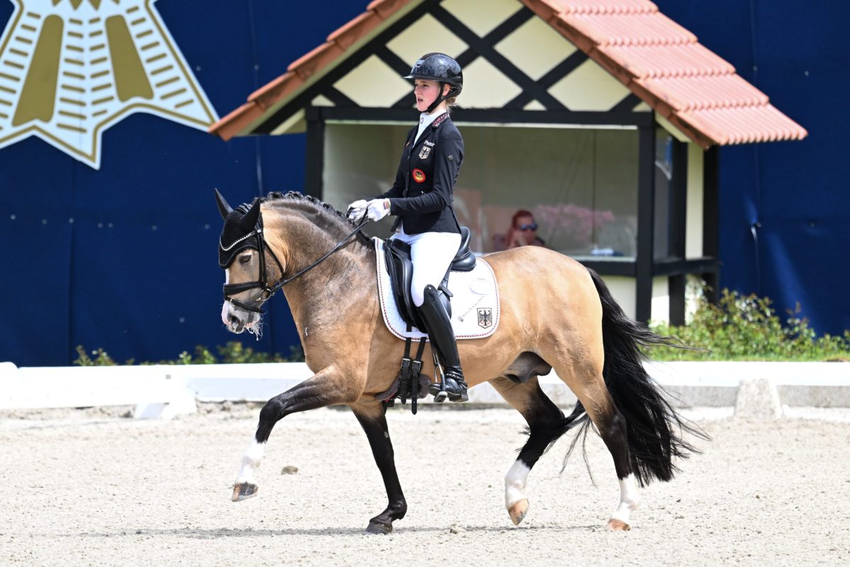 DSC_3999 Gosmann