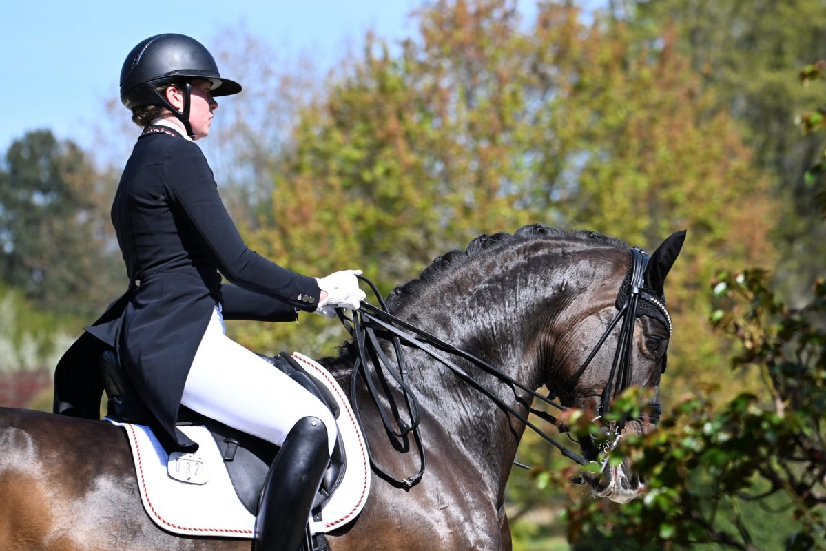 Diese zwei waren schon bei der Preis der Besten Sichtung in Kronberg: Alix von Borries und Feingefühl. Foto: Mirka Nilkens