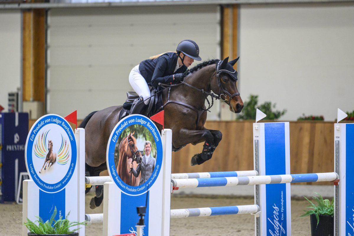 Dolly_Jumper_H_Mia_Tappe
Ponyturnier in Riesenbeck 2026
Foto: Gesina Grömping/Equitaris
www.equitaris.de
08.03.26

08
Finale Bundesnachwuchschampionat der
Ponyspringreiter - gefördert durch die Horst-Gebers Stiftung
Ponystilspringprfg. Kl.M* 125cm mit Standardanforderungen
und 2 Umläufen