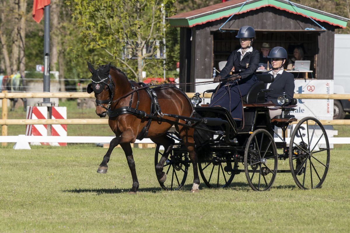 Dressur Laura Hüsges