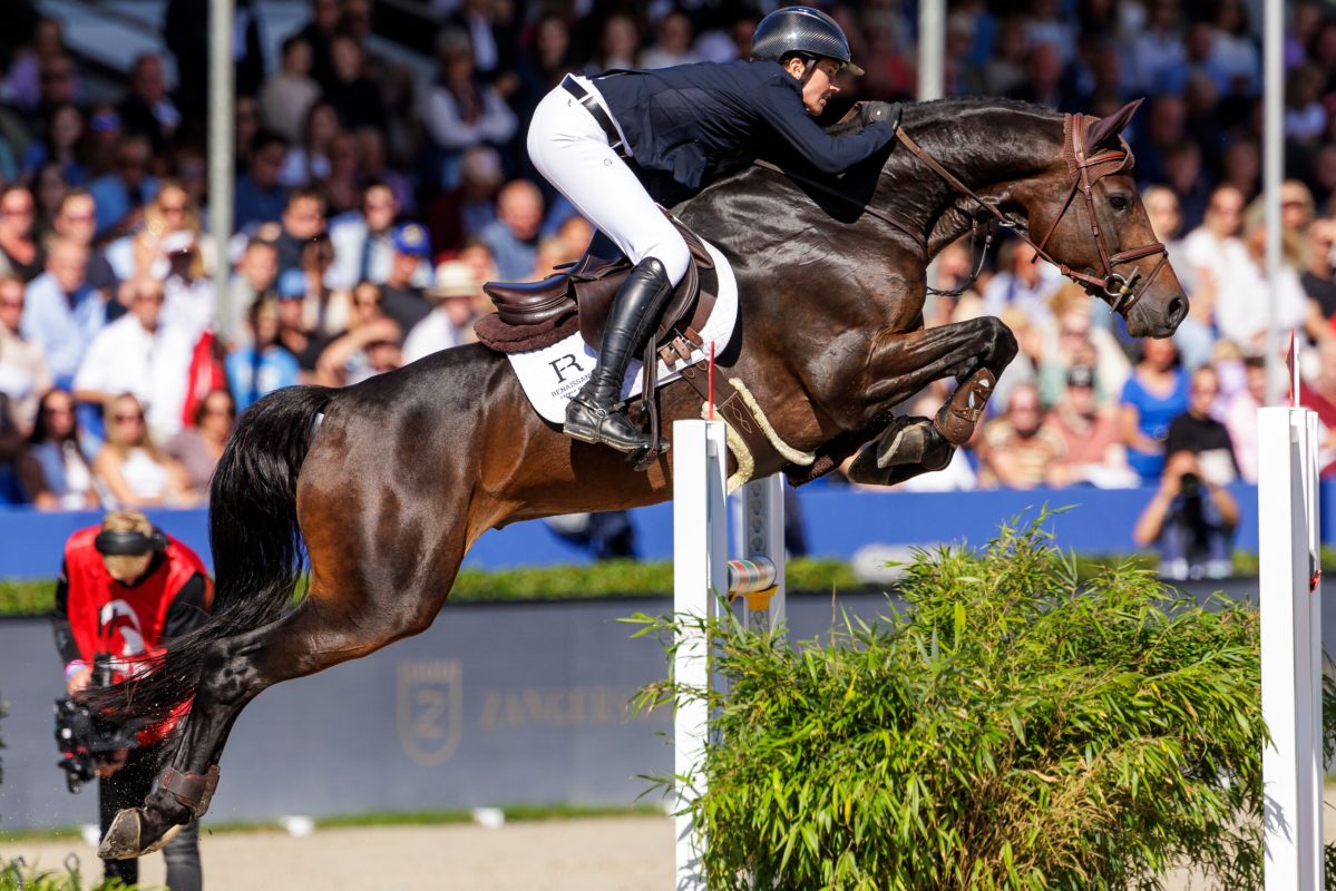 ZANGERSHEIDE - FEI WBFSH Jumping Horses 2023

ECKERMANN Katrin (GER), Cascajall
Final - 6-years horses
Int. jumping competition with jump-off (1.40 m)

Lanaken, Gestüt Zangersheide
24. September 2023
© www.sportfotos-lafrentz.de/Stefan Lafrentz