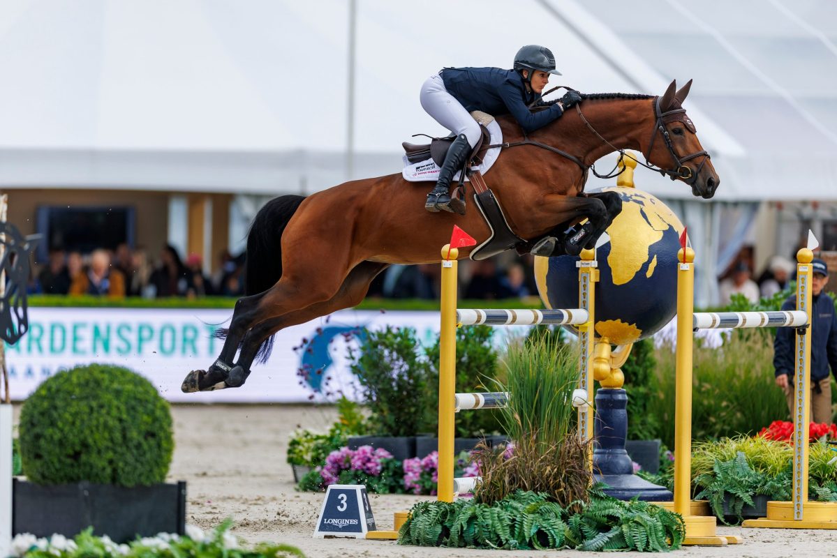 ZANGERSHEIDE - FEI WBFSH Jumping World Breeding Championship
for Young Horses 2026

ECKERMANN Katrin (GER), Electra 85
Final - 6-years horses
Int. jumping competition with jump-off (1.35 m)

Lanaken, Gestüt Zangersheide
20. September 2026
© www.sportfotos-lafrentz.de/Stefan Lafrentz