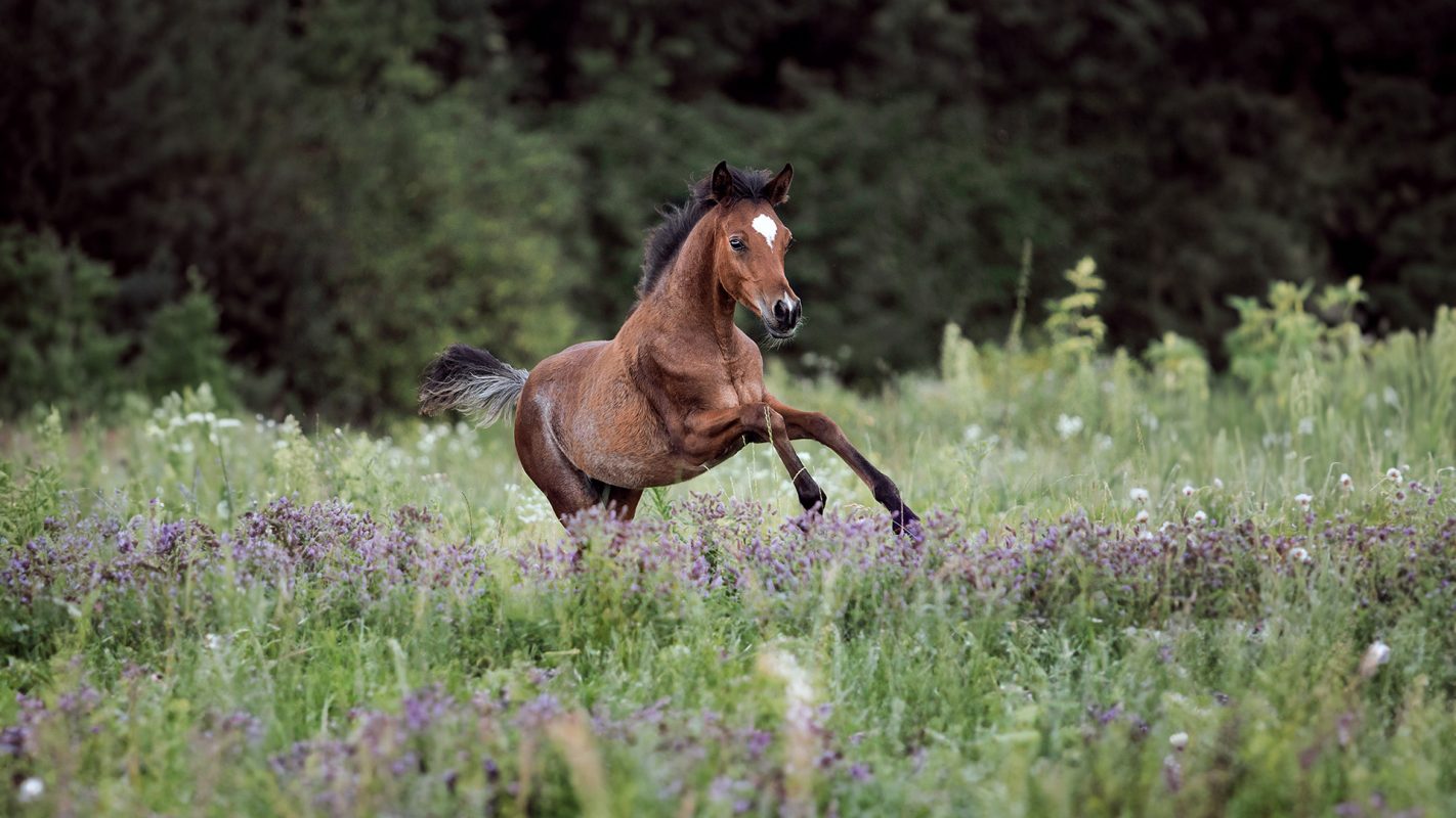 EQ_Headerfoto_1920x1080px_240828