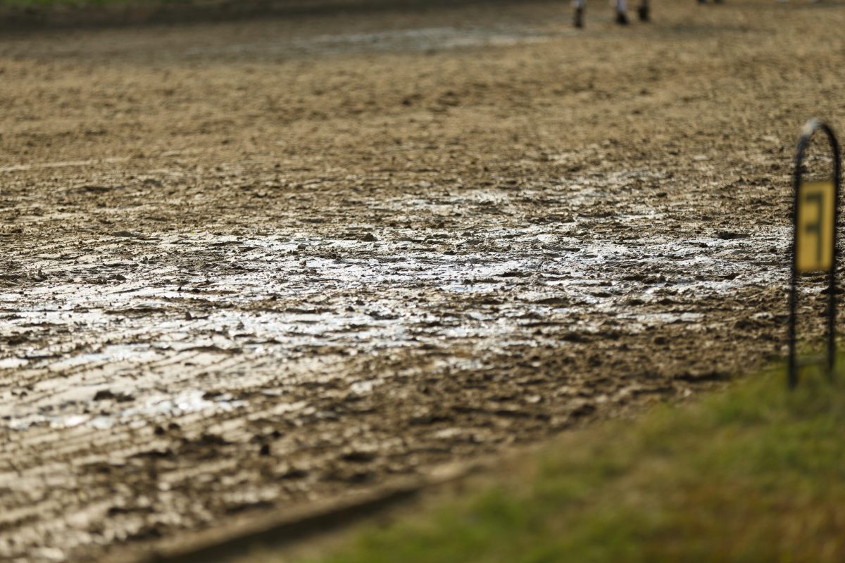 Gerade bei den Wetterextremen vielerorts ein Problem: Pfützenbildung auf den Reitplätzen. Foto: Equipics